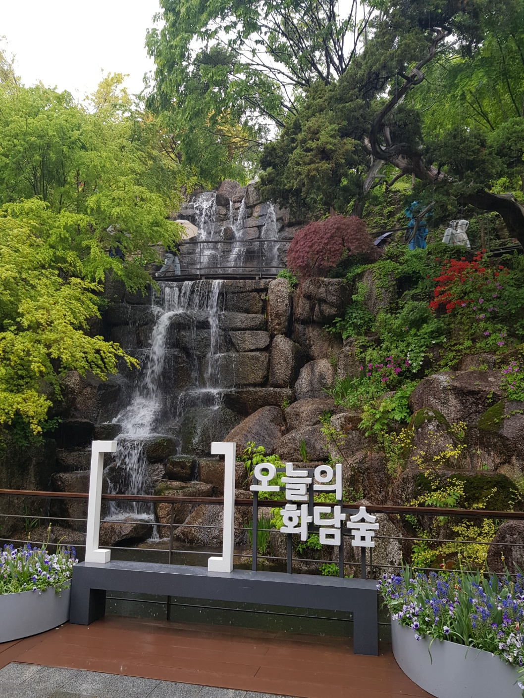 화담숲 가을 단풍 모노레일 예약방법