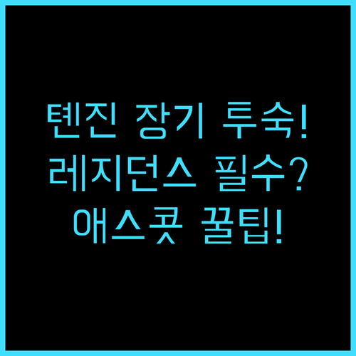 애스콧 테다 MSD 톈진 톈진 빈하이..