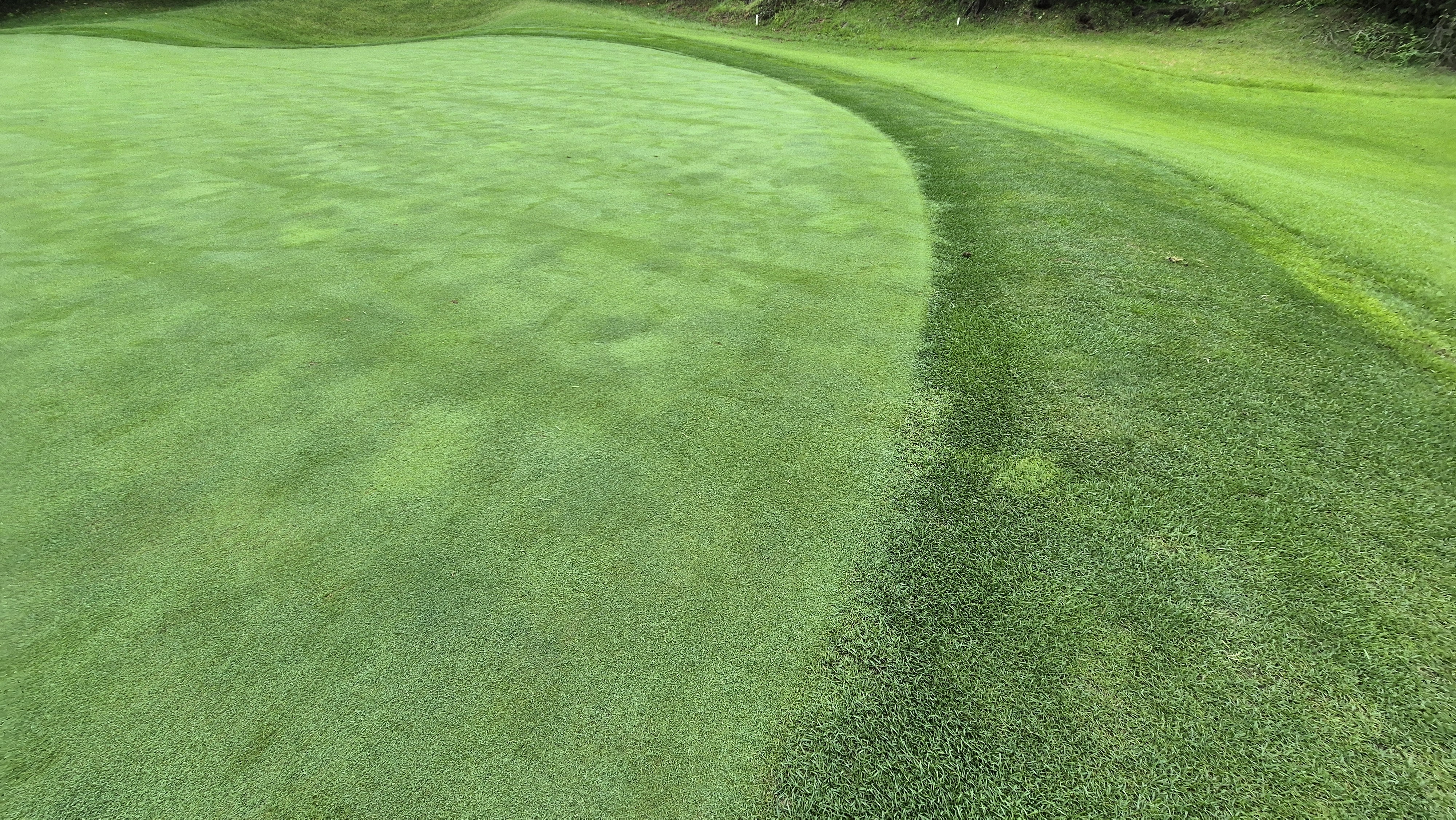 골프존카운티 진천