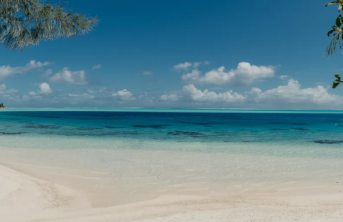 보라보라 신혼여행