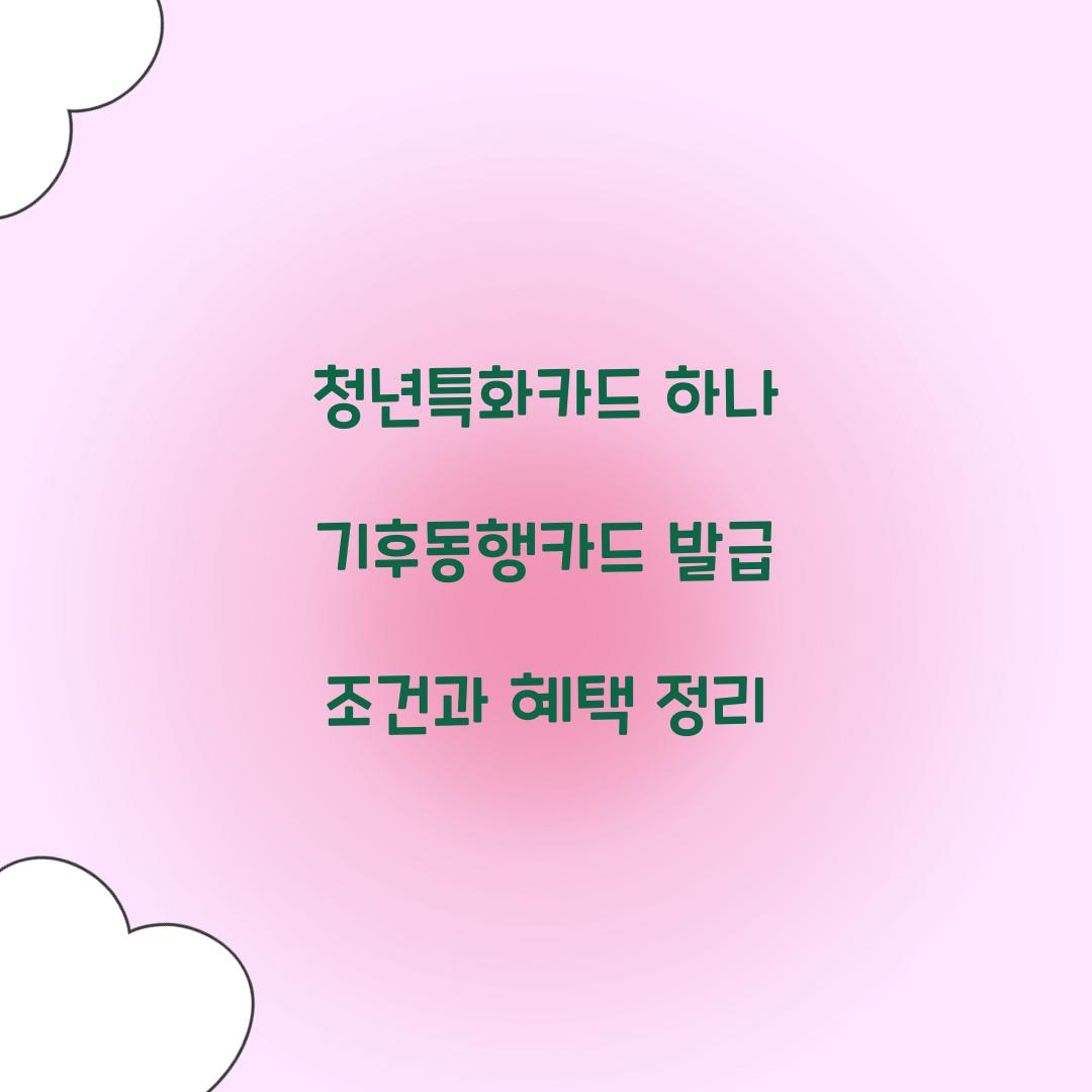 청년특화카드 하나 기후동행카드