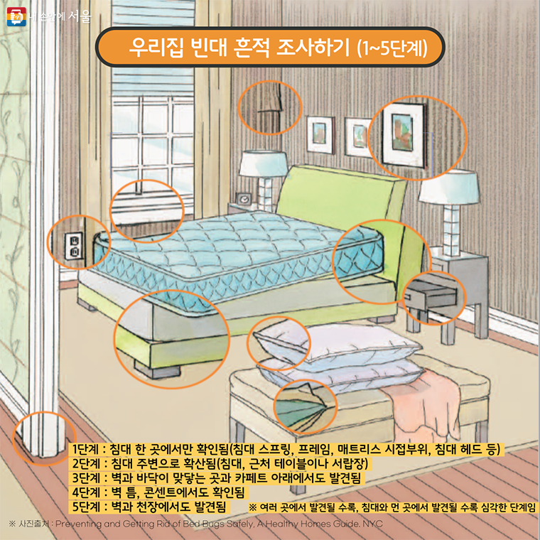 빈대예방