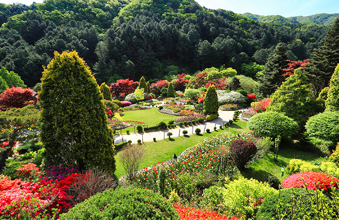 아침고요수목원
