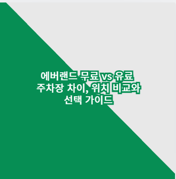 에버랜드 무료 vs 유료 주차장 차이, 위치 비교와 선택 가이드