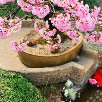 베어트리 파크 봄꽃축제와 관련된 사진