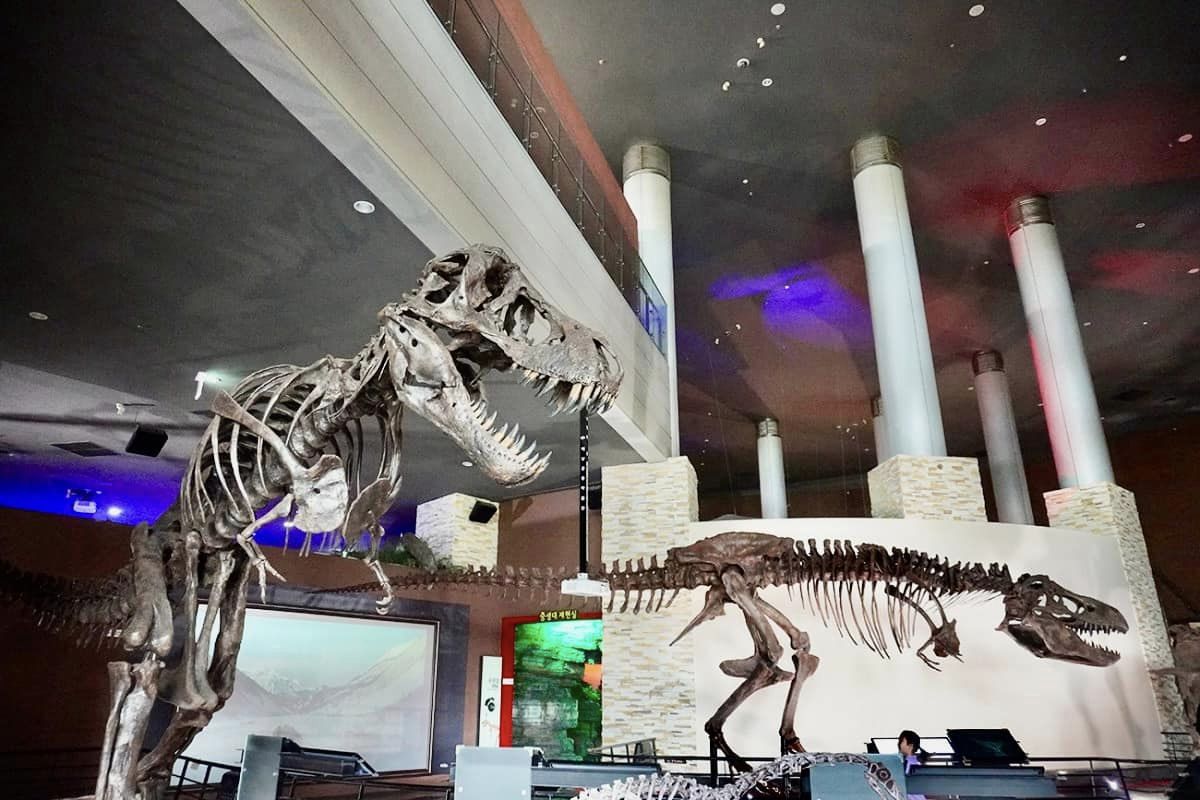  2024 해남 공룡대축제 특징