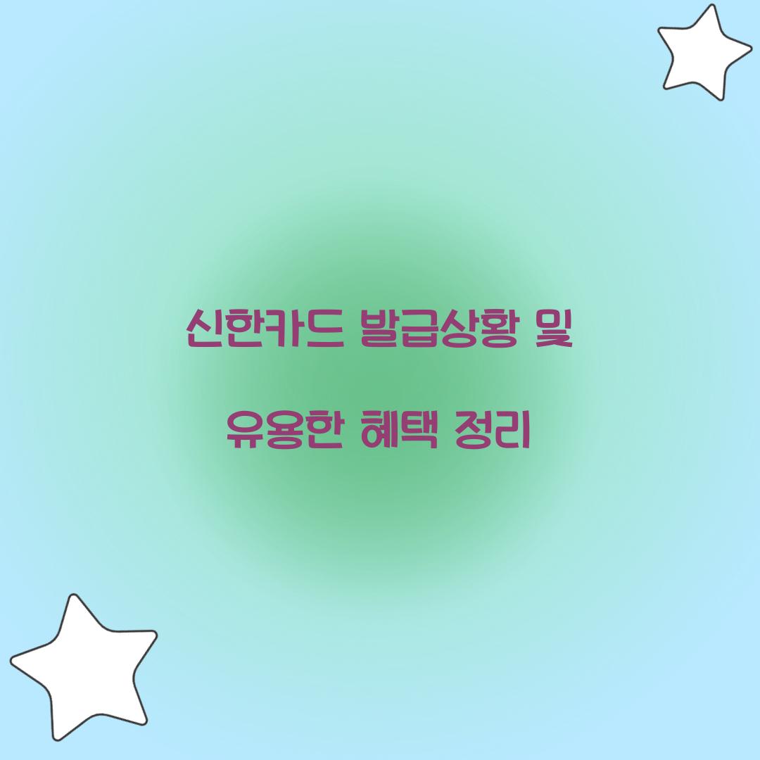 신한카드 발급상황