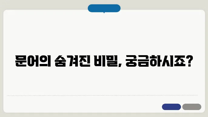문어칼로리 효능 부작용 이것만 아시면 됩니다