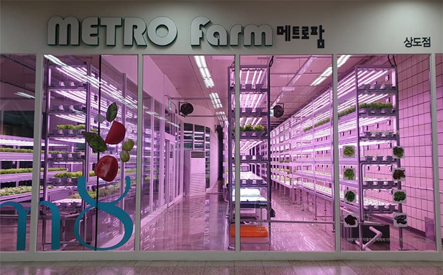 미래 농업의 가능성: 화성 온실과 지구의 스마트팜