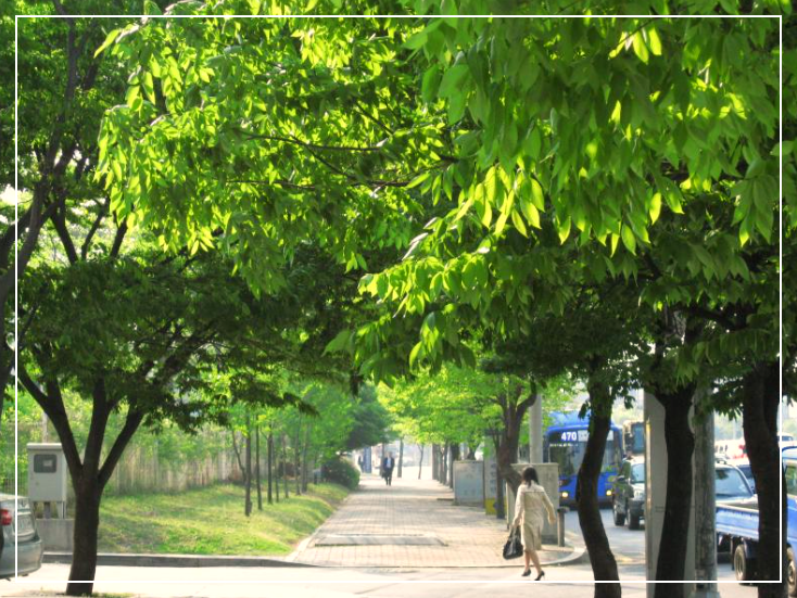 "그들은 돌아온다" 한여름의 검은 불청객, 러브버그의 모든 것(급증 원인 / 천적 / 퇴치 / 실생활 대처법)