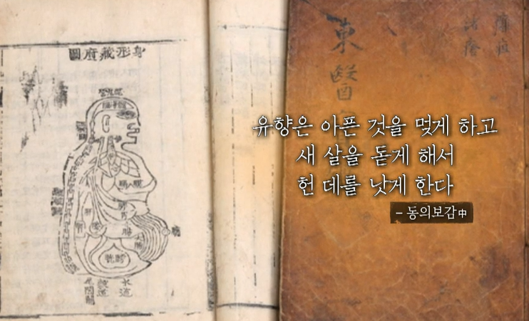 보스웰리아