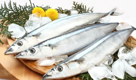 전어, 전어 제철, 전어 구이, 전어회 무침으로 맛있게 즐기자!