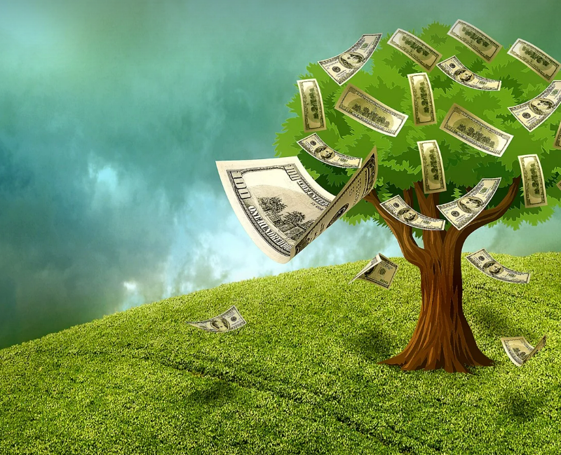 성장주 VS 가치주 ,어떤 종목이 유망할까?