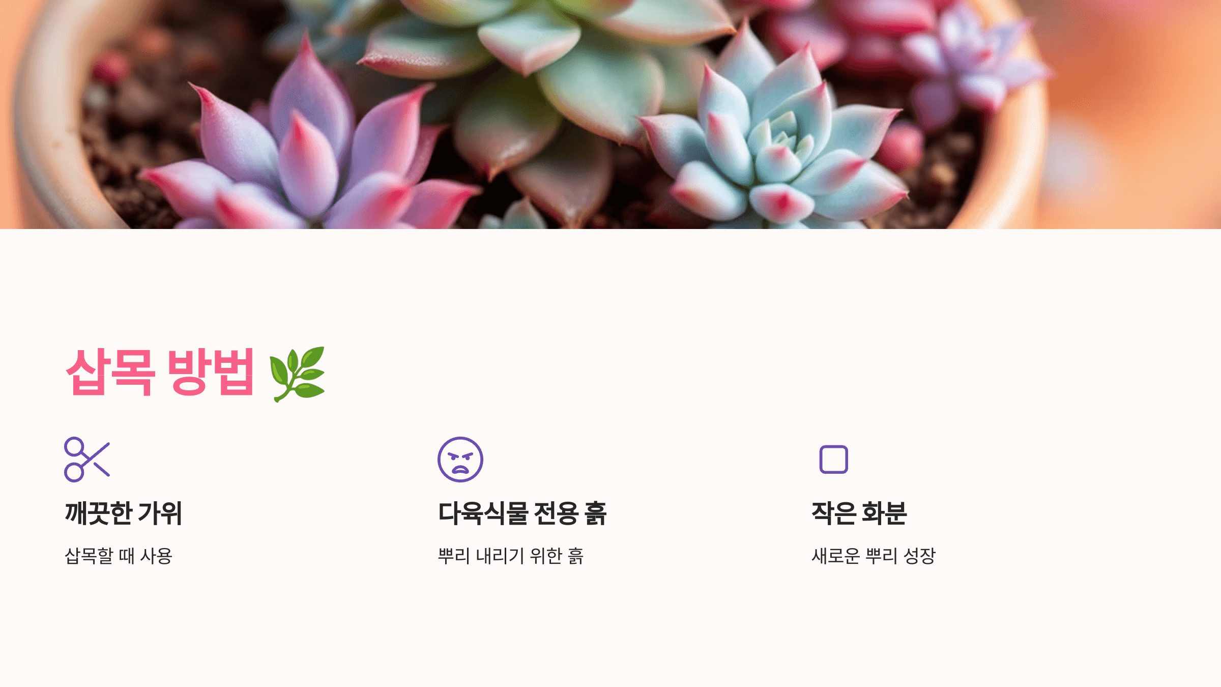 칼랑코에 사진입니다.