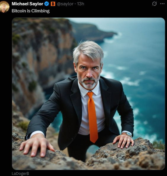 출처: 마이클세일러 X. 마이클세일러 모습