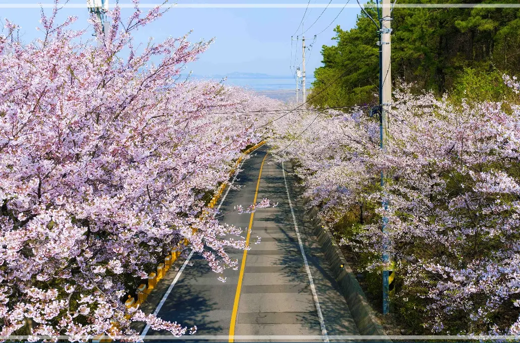인천-i-바다패스-예약-대상-섬