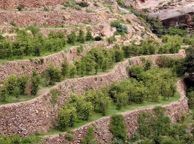 얘멘 모카 마타리