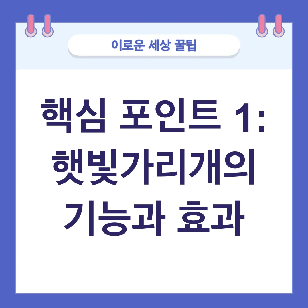 차량 햇빛 가리개_1