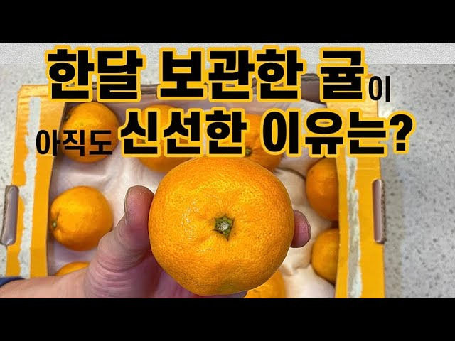 귤보관방법