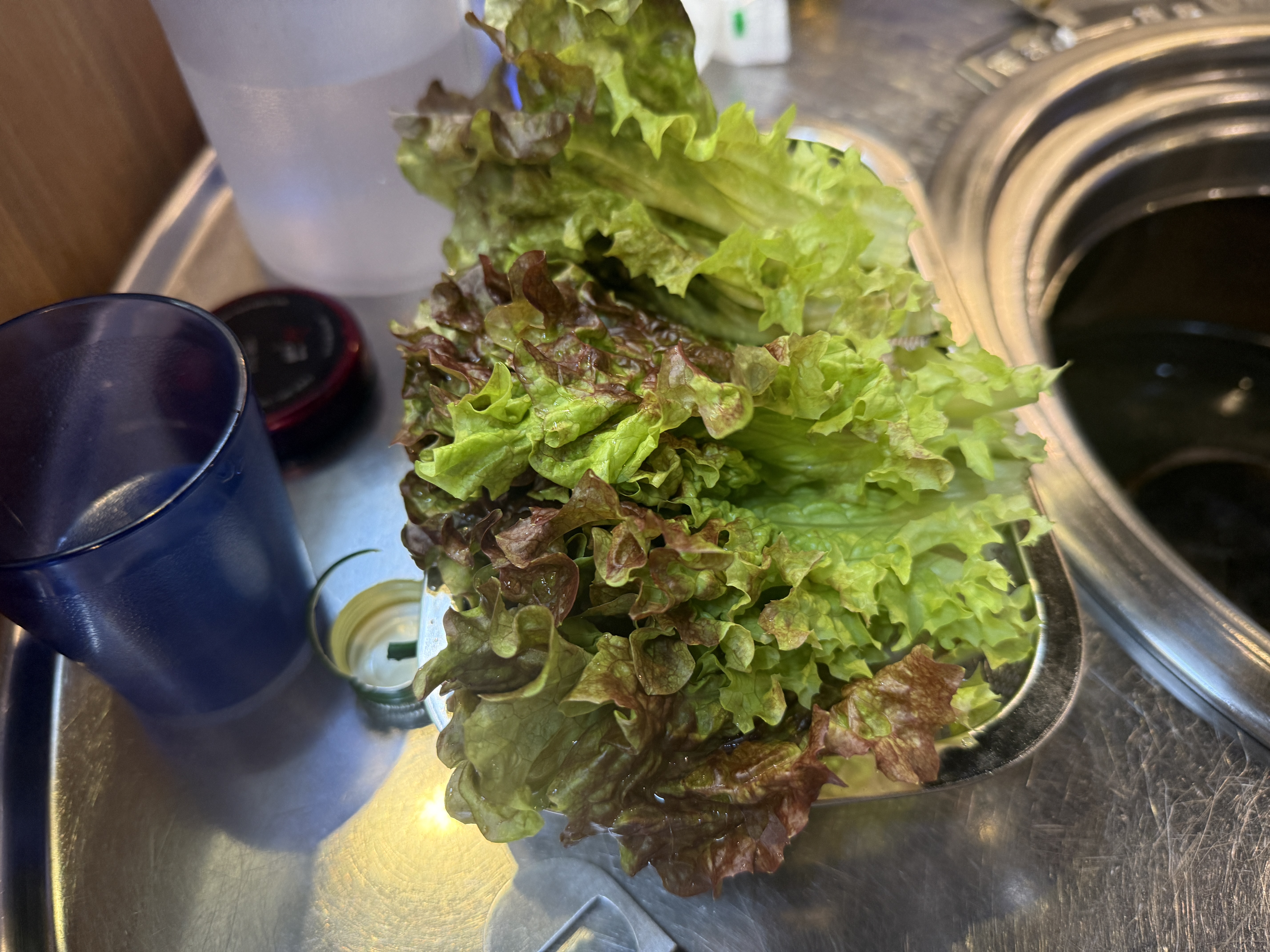 신중동 맛집 추천! 뒷고기 잘하는 통통돼지부속 내돈내산 후기
