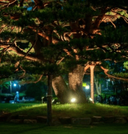 청와대-야간개장-예약-방법-시간-주차-외국인