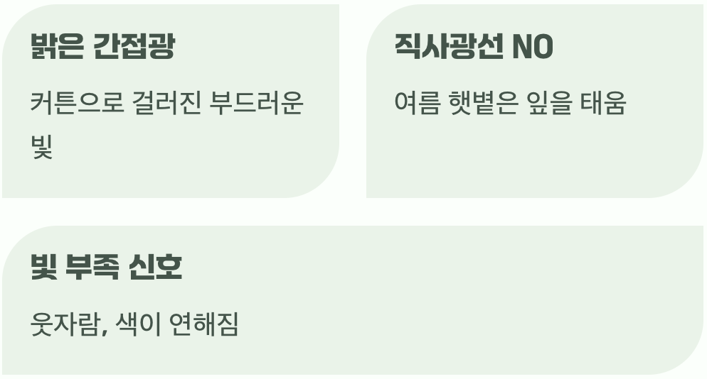햇빛은 보약&amp;#44; 하지만 적당히