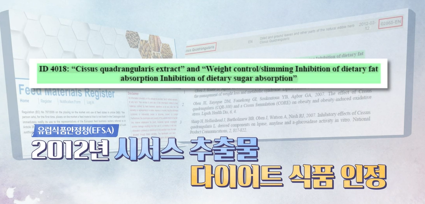 시서스