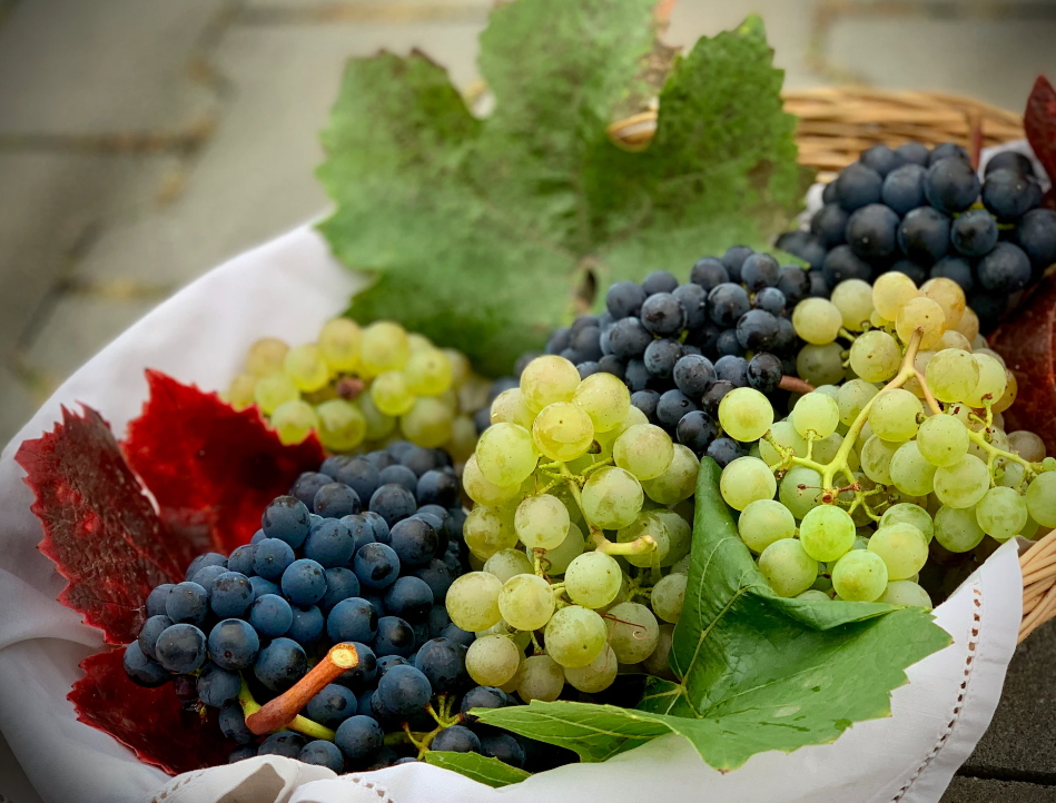 포도의 효능과 부작용, 포도의 칼로리, 당뇨, 종류, 포도주 담그는 법