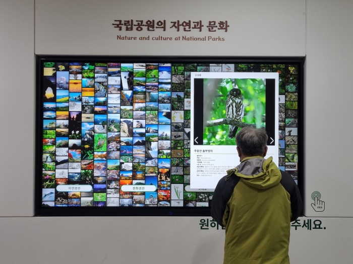 대형화면