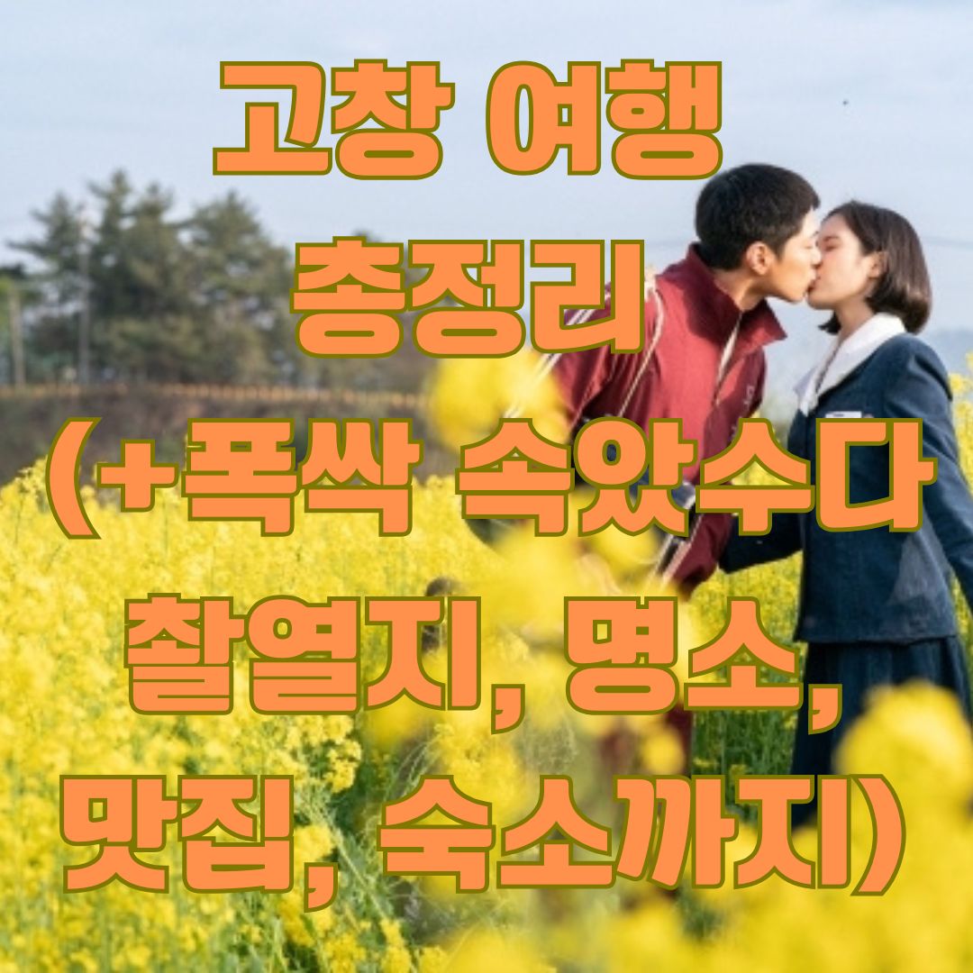 고창 여행 총정리