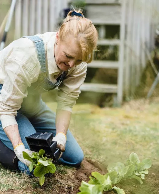 ๋
ธ๋ น์ฐ๊ธ ์๊ธ์๊ฒฉ