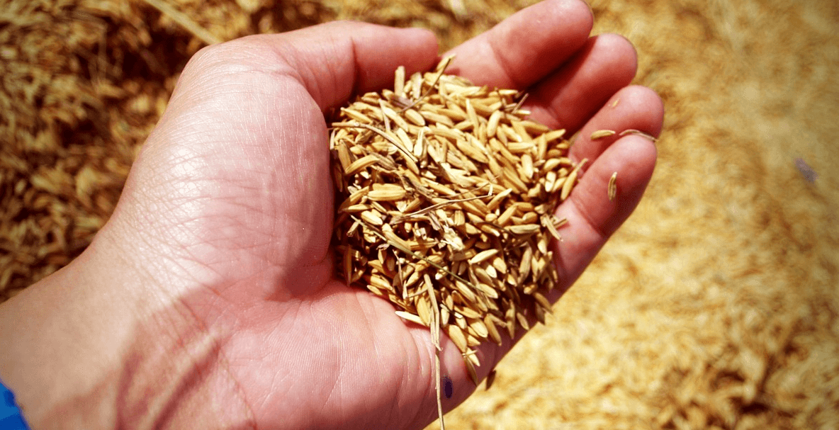 위장에 좋은 음식과 관련된 사진 - 12