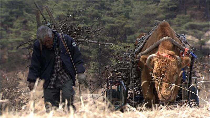 영화 공식제공 이미지