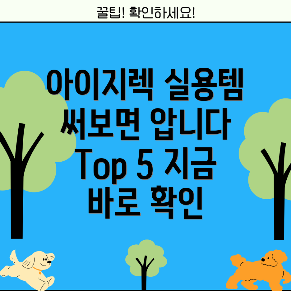 아이지렉실용템분석써보면압니다Top5아이템