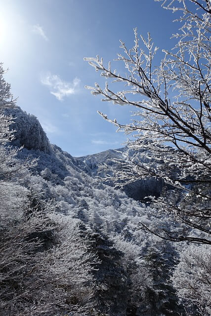 한라산 탐방예약