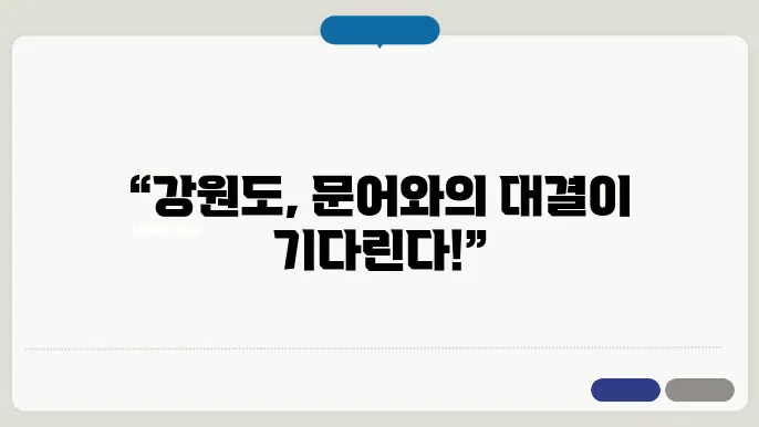 강원도 문어낚시 방법