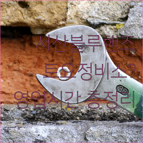 서산 블루핸즈 영업시간 및 토요일 정..