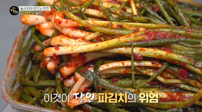 생활의달인-파김치