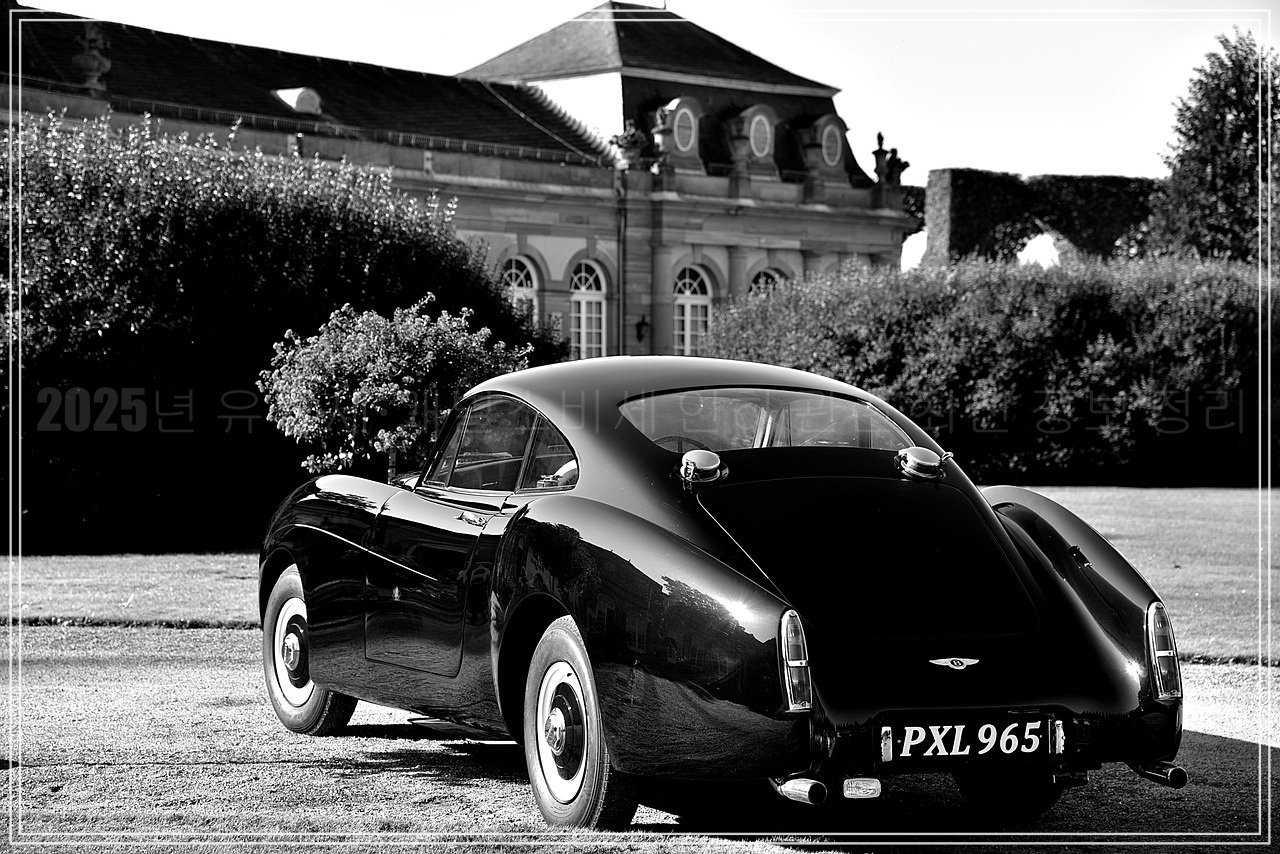 2025년 개별소비세 인하 적용 품목, 자동차 적용 대상 품목 총정리