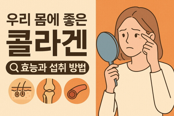 콜라겐 효능 총정리/GPT