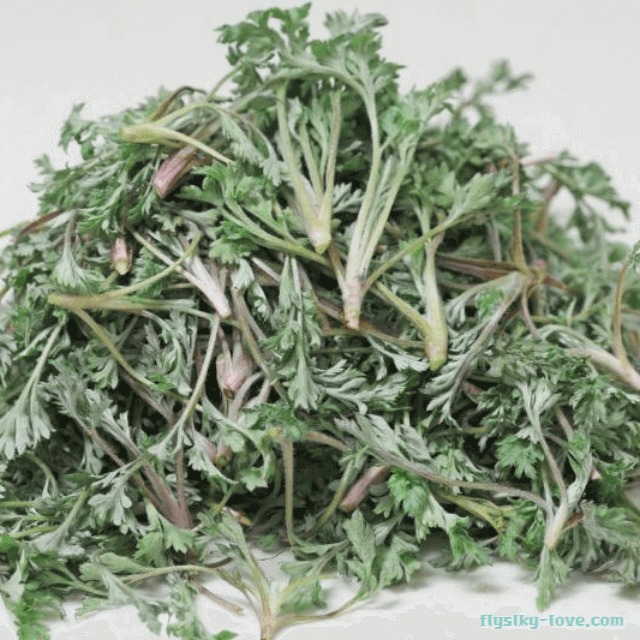 해독작용이 뛰어난 쑥