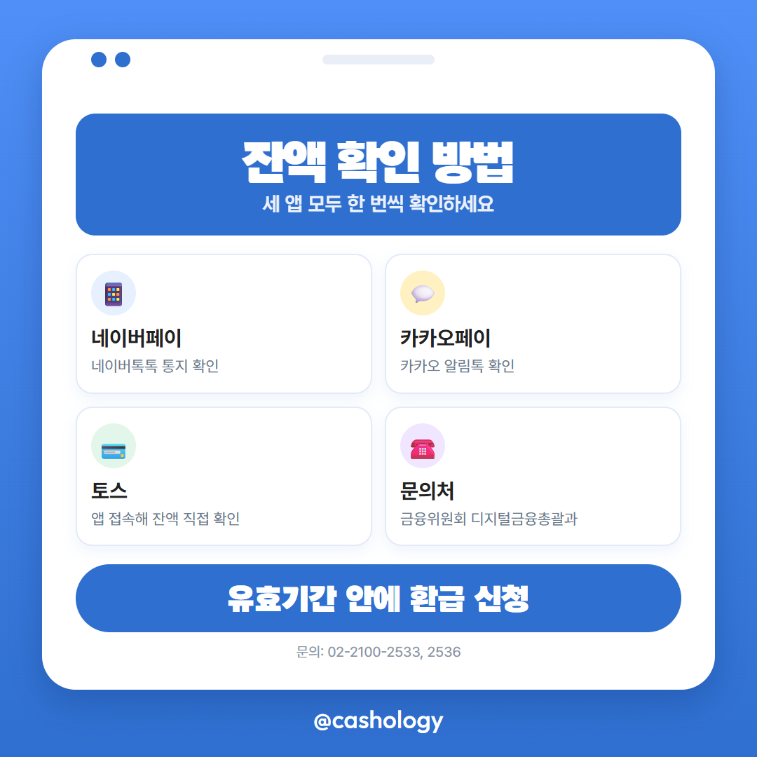 네이버페이 카카오페이 토스 선불잔액 확인 방법 안내