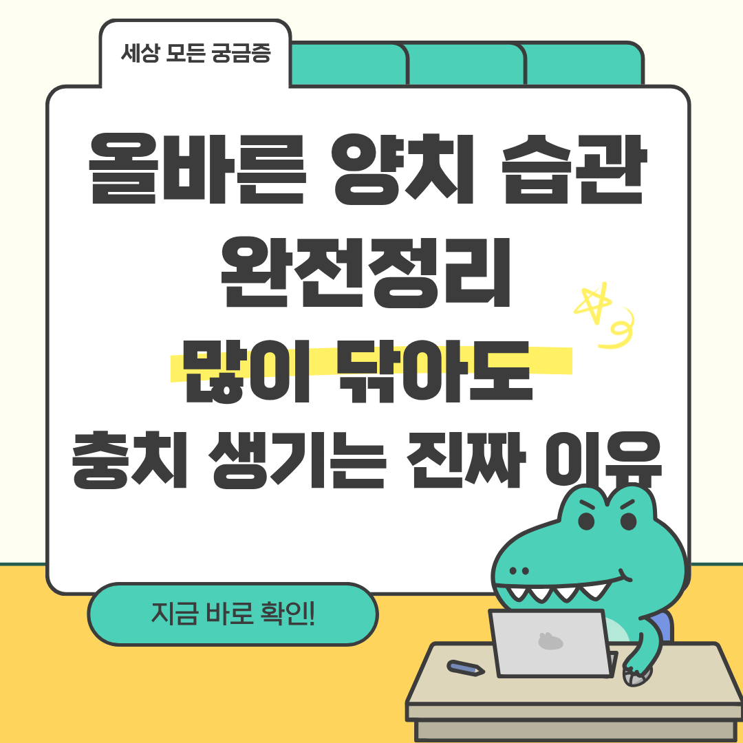 올바른 양치 습관 정리