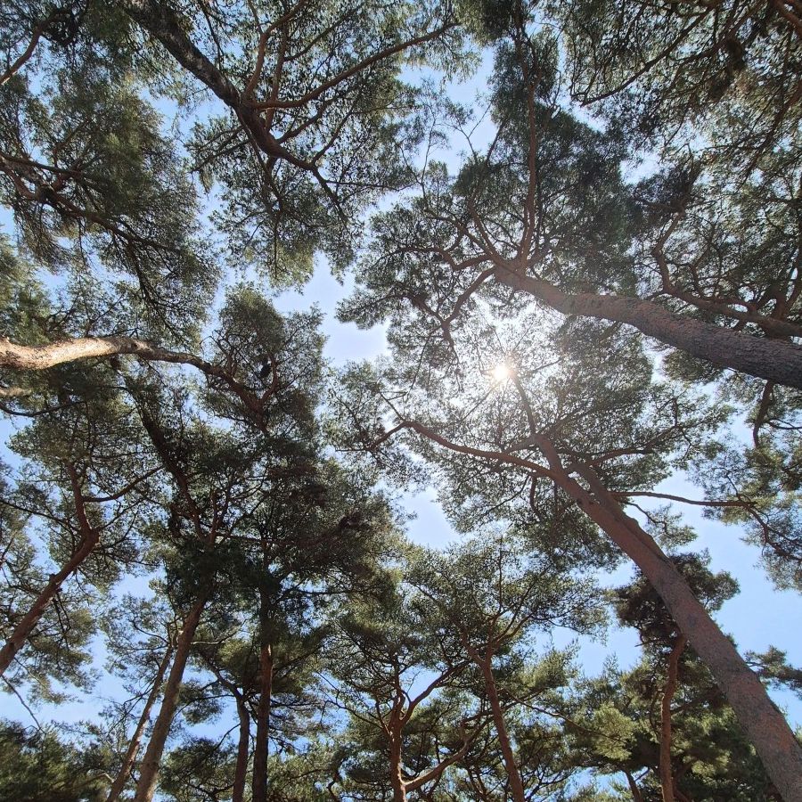  진도 세방낙조 &amp; 진도타워