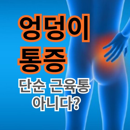 엉덩이 통증은 단순한 근육 피로가 아닌 신경 압박, 관절 질환 등의 문제일 수 있습니다.