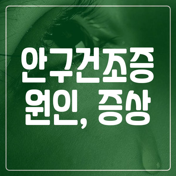 안구건조증 원인 및 증상