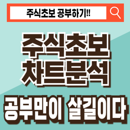 주식 초보 차트 분석 공부