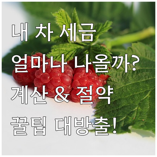 내 차, 얼마나 내야 할까? 자동차세..