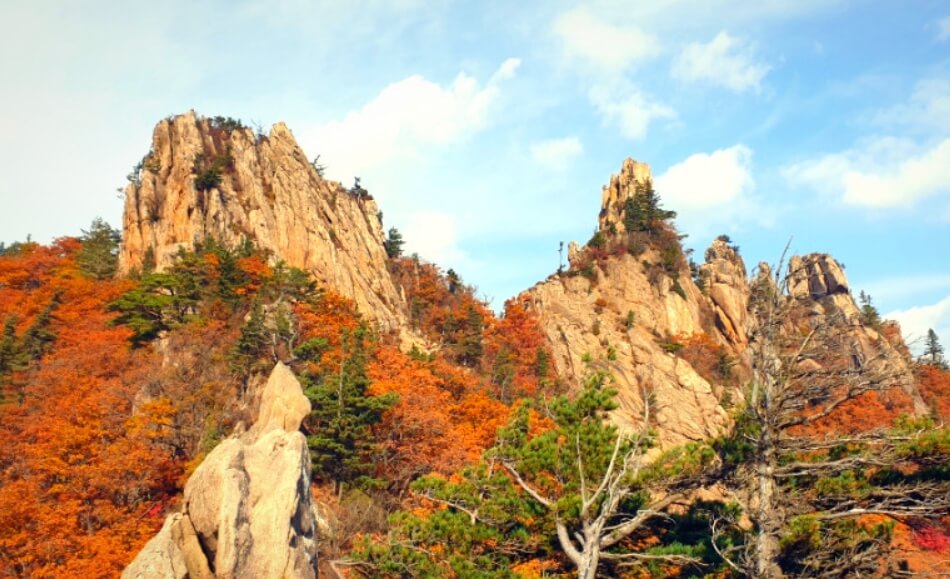 2024년 가을 단풍시기 (출처 : 한국관광공사)