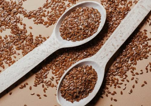 식물성 에스트로겐이 많은 음식 아마씨